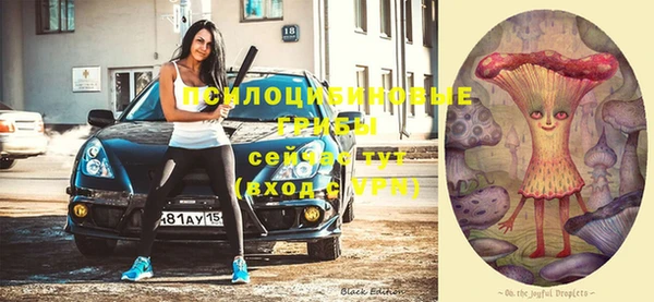 Альфа ПВП Каменногорск