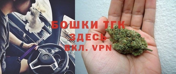 mdpv Каменка