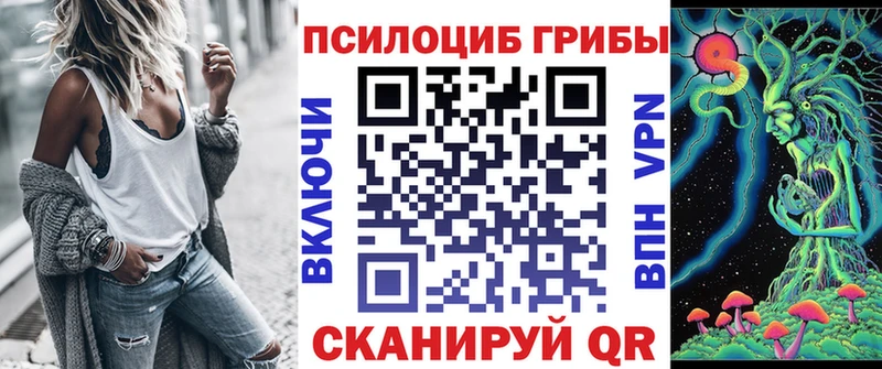 Купить где  Сафоново  Псилоцибиновые грибы GOLDEN TEACHER 
