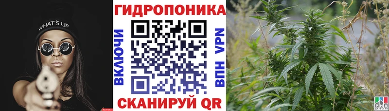 Бошки Шишки гибрид Сафоново