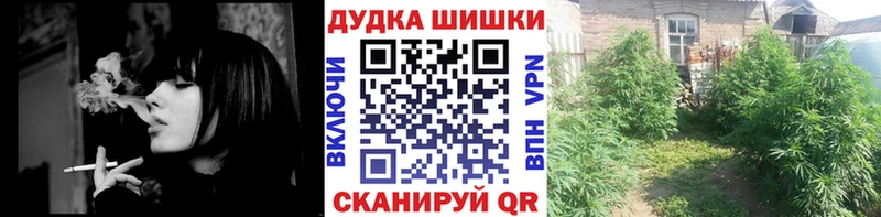 Купить  Сафоново  Шишки марихуана Amnesia 